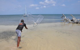 Man throwing fishing net into the shallow ocean