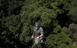 an image of a smiling man abseiling into the rainforest below