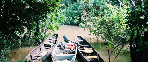 An image of three boats on a river bank