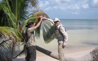 an image of two men collecting condensation from palm trees