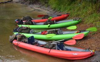 an image of four kayaks on a jungle expedition venture